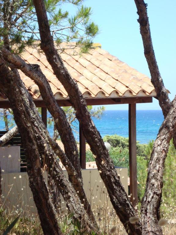 Отель Camping Golfo Dell'Asinara Платамона Номер фото